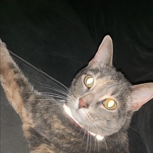 Meet your Posher, Mickayla